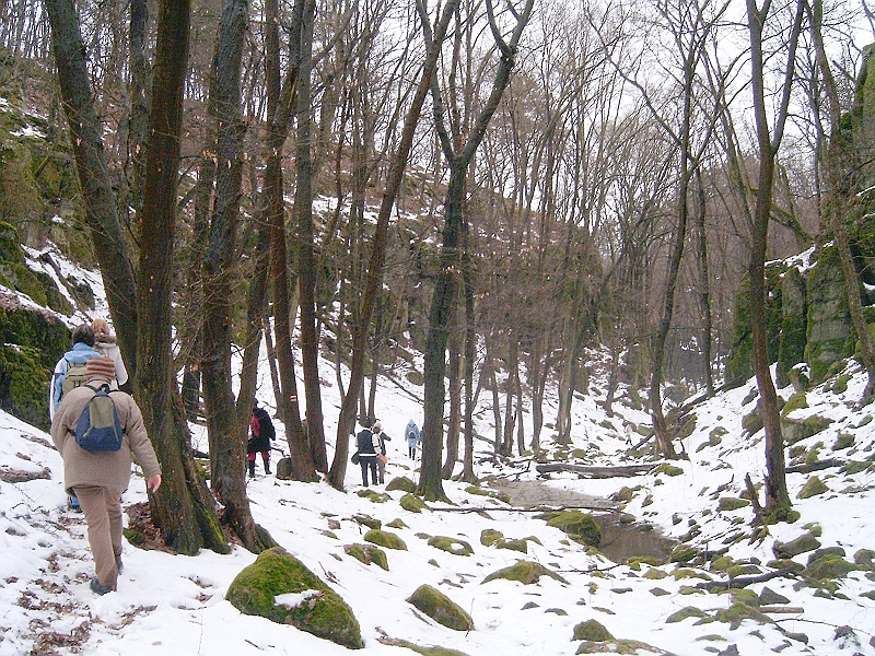 20100220 046.jpg